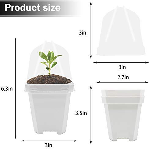 PURPLE STAR 1N 30 PCS Plant Nursery Pots with Humidity Dome-Gardening Pots Small-Square Planting Containers Cups for Succulents Seedlings Cuttings Transplanting (30 PCS-S)