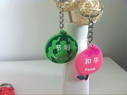 LORJE Christian gifts the fruit of the Spirit,Lord's day school prizes Gospel of supplies Silicone scripture key Tags Chains(9pc)