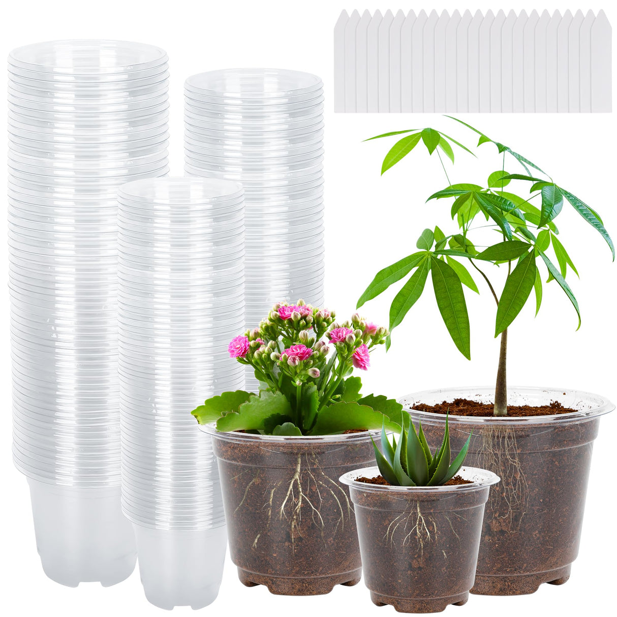 Helimoto 50 Pack 3.5/4/5 Inch Plant Pots, Clear Nursery Pots, Plastic Seedling Pots with Drainage Holes Transparent Seed Starter Planter Pots with 50 Plant Labels for Flower Vegetable Plants