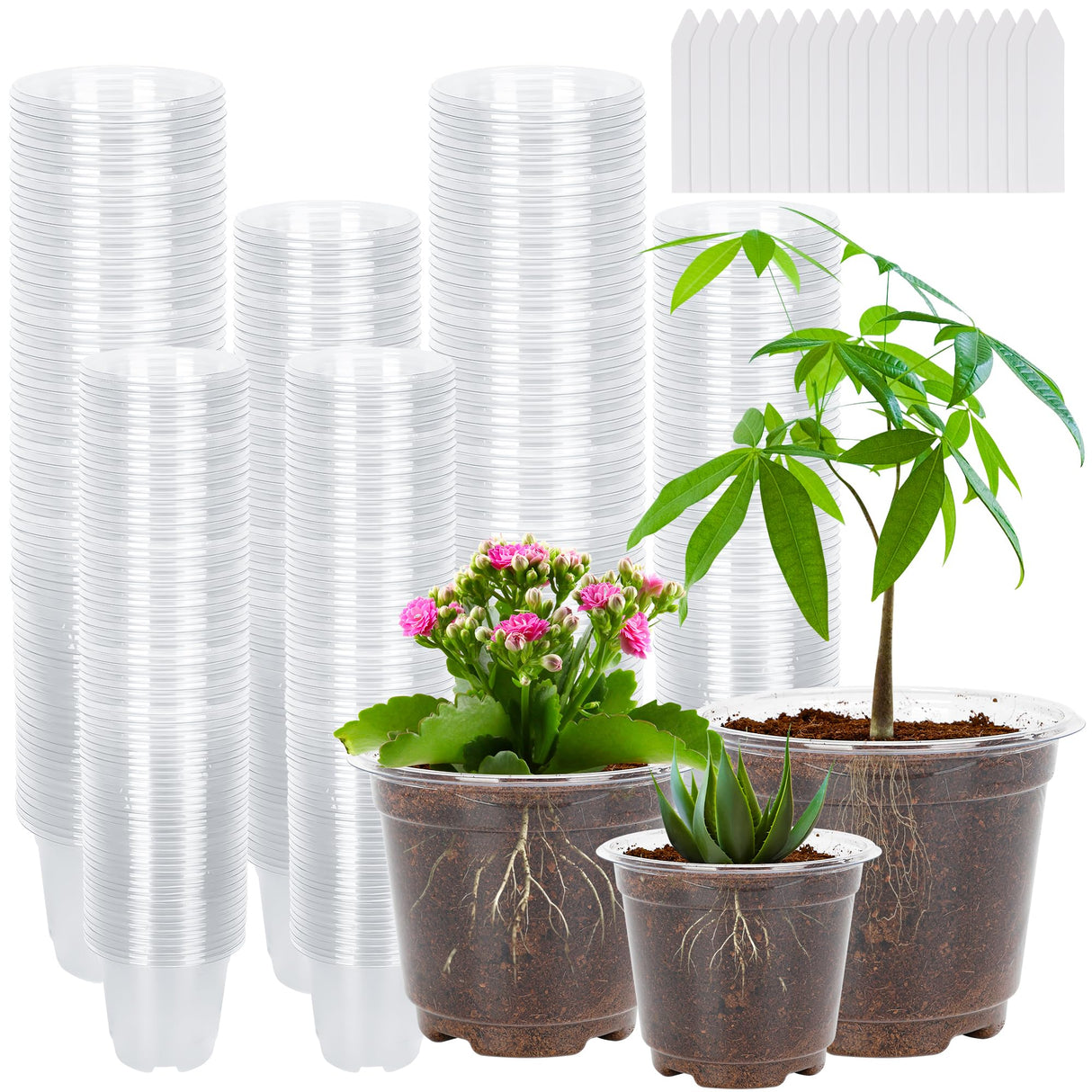 100 Pack 3.5/4/5 Inch Clear Nursery Pots, Transparent Plant Pots, Plastic Seedling Pots with Drainage Holes Seed Starter Planter Garden Pots with 100 Plant Labels for Vegetable Flower Plants