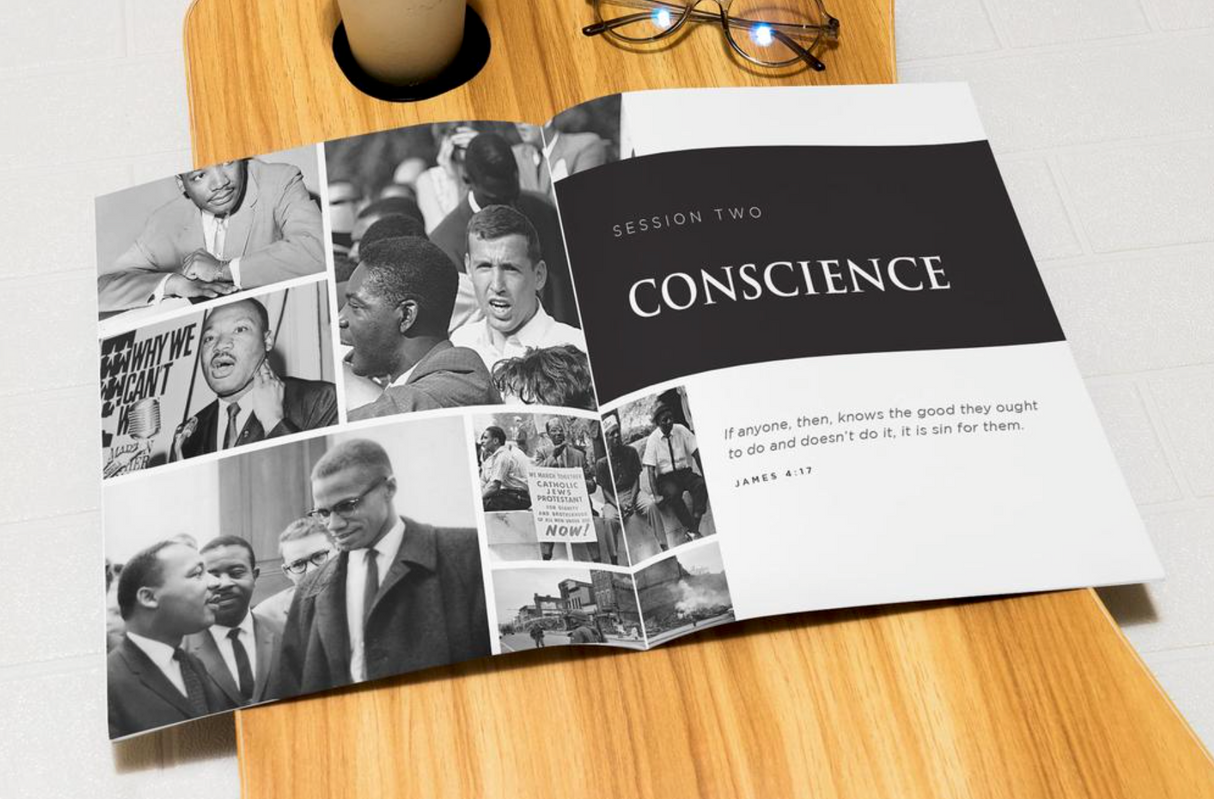 Share the Dream Bible Study Guide plus Streaming Video: Shining a Light in a Divided World through Six Principles of Martin Luther King Jr.