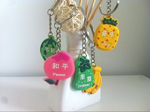 ENGLISH & CHINESE: Christian gifts the fruit of the Spirit, Lord's day school prizes Gospel of supplies Silicone scripture key Tags Chains(9pc)