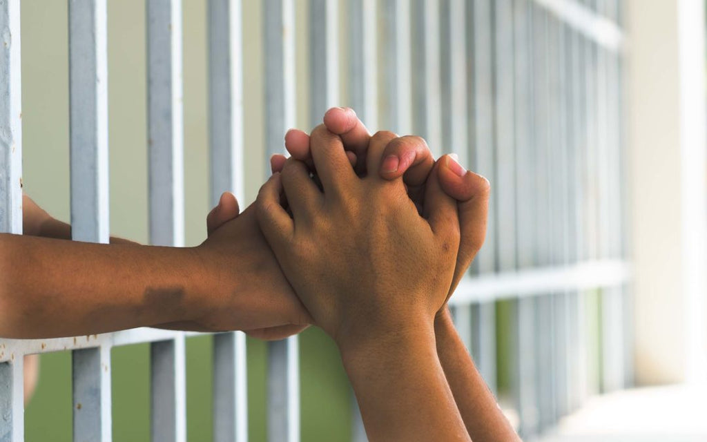 A Closer Look at the Families of Mass Incarceration: Part 1