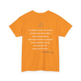 Cotton T-Shirt (orange)
