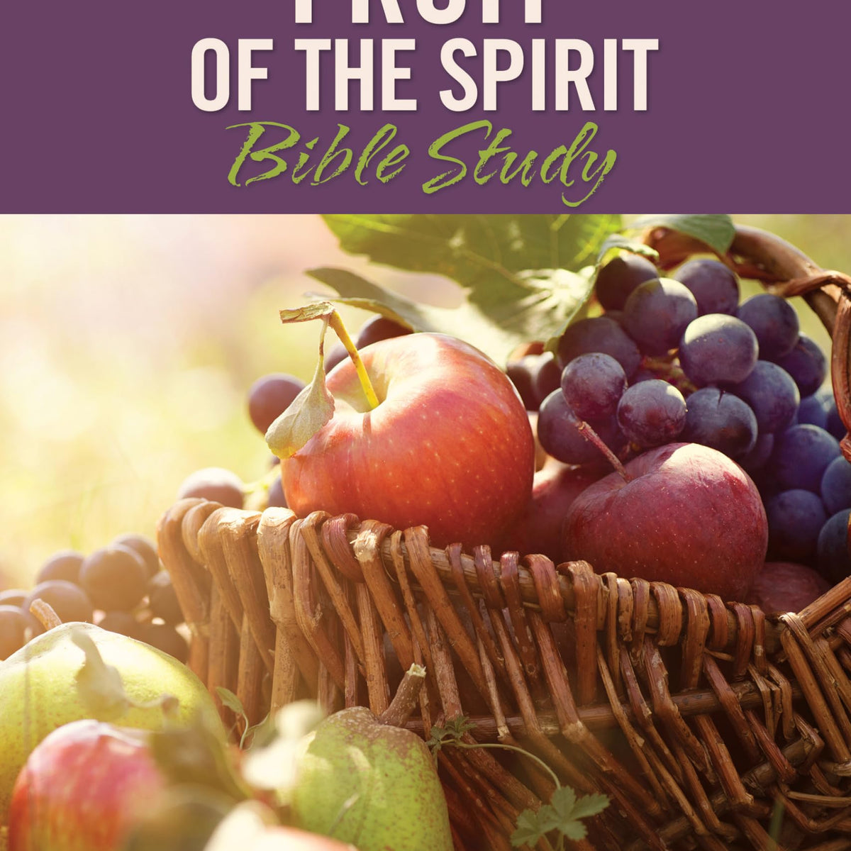 Fruit of the Spirit (Rose Visual Bible Studies) – UMI (Urban Ministries ...